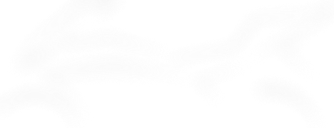 icon-category